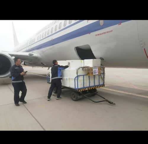 机场空运